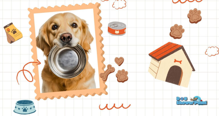 Servizio di alimentazione cani a casa a Terni: la routine del tuo cane non si interrompe mai